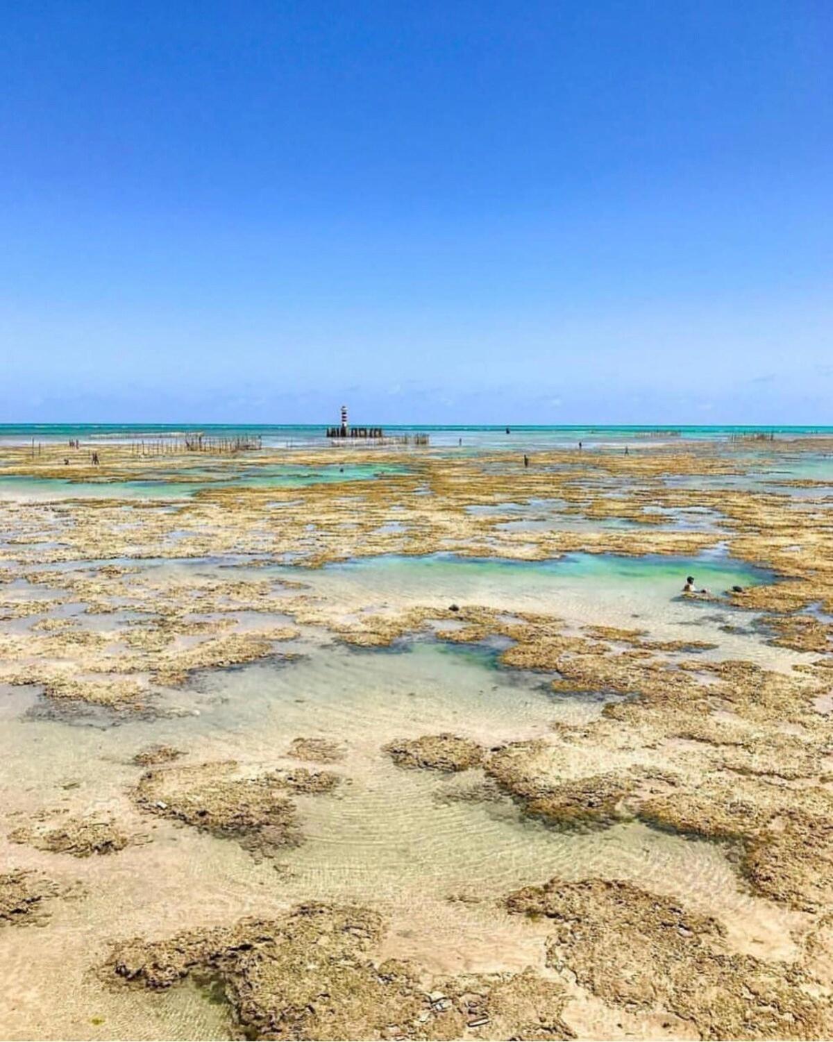 Ametista 2 - 101 - A-01: Ape Equipado E Estiloso Na Praia De Jatiuca Maceió Exterior foto